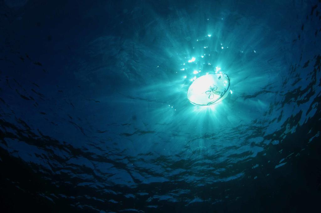 Bohio Dive Resort Cockburn Town Dış mekan fotoğraf